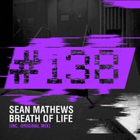 Thumbnail for the Sean Mathews - Breath Of Life link, provided by host site