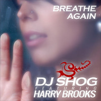 Thumbnail for the DJ Shog - Breathe Again link, provided by host site