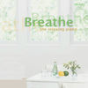 Thumbnail for the John O'Conor - Breathe: The Relaxing Piano link, provided by host site