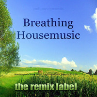 Thumbnail for the Paduraru - Breathing Housemusic - Proghouse Music Megamix in Key-Bb link, provided by host site