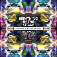 Thumbnail for the Vengeance - Breathing in the Storm link, provided by host site