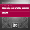 Thumbnail for the Jay Ronko - Bregna link, provided by host site
