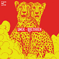 Thumbnail for the UMEK - Brethren link, provided by host site