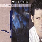 Thumbnail for the Brian Wilson - Brian Wilson link, provided by host site