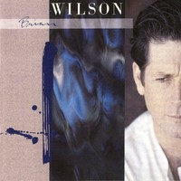 Thumbnail for the Brian Wilson - Brian Wilson link, provided by host site