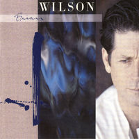Thumbnail for the Brian Wilson - Brian Wilson link, provided by host site