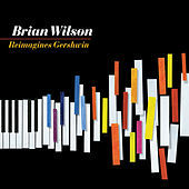 Thumbnail for the Brian Wilson - Brian Wilson Reimagines Gershwin link, provided by host site