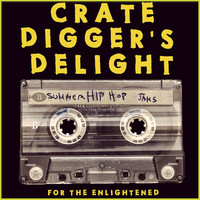 Thumbnail for the Damu The Fudgemunk - Bright Side - Remix link, provided by host site