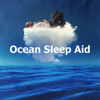 Thumbnail for the Ocean Waves For Sleep - Brine Conduits link, provided by host site