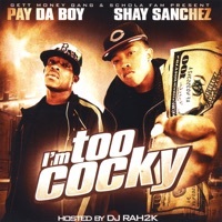 Thumbnail for the Shay Sanchez - Bring the Monstaz Back link, provided by host site