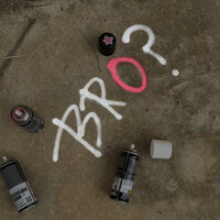 Thumbnail for the Bibi - BRO link, provided by host site