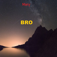 Thumbnail for the Many - Bro link, provided by host site