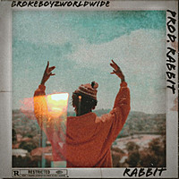 Thumbnail for the Rabbit - BrokeBoyzWorldWide link, provided by host site