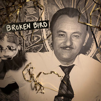 Thumbnail for the Jared - Broken Bird link, provided by host site