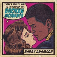 Thumbnail for the Barry Adamson - Broken Moments link, provided by host site