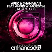 Thumbnail for the APEK - Broken Souls link, provided by host site