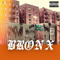 Thumbnail for the Bini - Bronx link, provided by host site