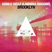 Thumbnail for the Andrea Maggino - Brooklyn link, provided by host site