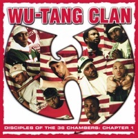 Thumbnail for the Wu-Tang Clan - Brooklyn Zoo ((Live in San Bernadino, CA) [2019 Remaster]) link, provided by host site