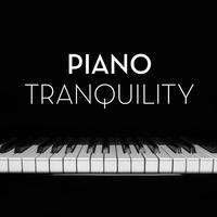 Thumbnail for the Ludovico Einaudi - Brothers link, provided by host site