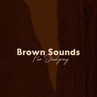 Thumbnail for the Reading and Studying Music - Brown Sounds For Studying - Study Frequencies, Distraction Relief, Restlessness, Relaxation link, provided by host site