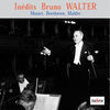 Thumbnail for the Bruno Walter - Bruno Walter In Italy link, provided by host site