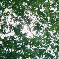 Thumbnail for the rei brown - Bubble link, provided by host site
