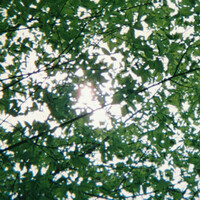 Thumbnail for the rei brown - Bubble link, provided by host site