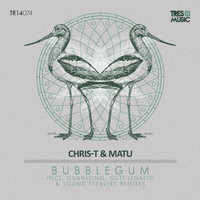 Thumbnail for the Chris-T & Matu - BubbleGum link, provided by host site