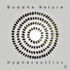 Thumbnail for the Hypnocoustics - Buddha Nature link, provided by host site