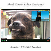 Thumbnail for the Frank Turner - Buddies II: Still Buddies link, provided by host site