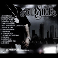 Thumbnail for the Bukshot - Bukshot In the Hood Again link, provided by host site