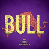 Thumbnail for the Briz - Bull link, provided by host site