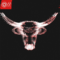 Thumbnail for the Enter Shikari - Bull link, provided by host site