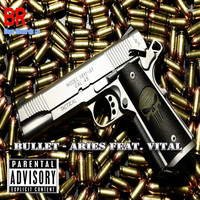 Thumbnail for the Aries - Bullet link, provided by host site