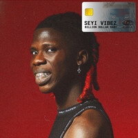 Thumbnail for the Seyi Vibez - Bullion Van link, provided by host site