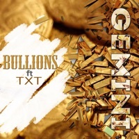 Thumbnail for the TXT - Bullions link, provided by host site