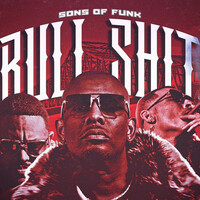 Thumbnail for the Sons Of Funk - Bullshit link, provided by host site