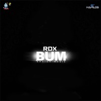 Image of RDX linking to their artist page due to link from them being at the top of the main table on this page