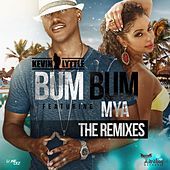 Thumbnail for the Kevin Lyttle - Bum Bum Remixes link, provided by host site
