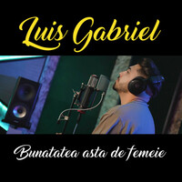 Thumbnail for the Luis Gabriel - Bunatatea asta de femeie link, provided by host site