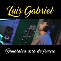 Thumbnail for the Luis Gabriel - Bunatatea Asta De Femeie link, provided by host site