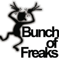Thumbnail for the Boza - Bunch Of Freaks link, provided by host site