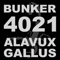 Thumbnail for the Gallus - Bunker 4021 link, provided by host site