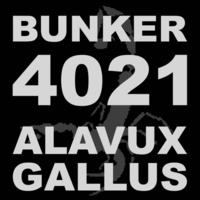 Thumbnail for the Gallus - Bunker 4021 link, provided by host site