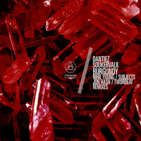Thumbnail for the Dantiez - Burgundy - Nihil Young Remix link, provided by host site