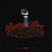 Thumbnail for the D'Anthony - Buried Alive link, provided by host site