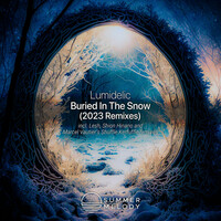 Thumbnail for the Lumidelic - Buried in the Snow (2023 Remixes) link, provided by host site