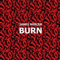 Image of James Mercer linking to their artist page due to link from them being at the top of the main table on this page