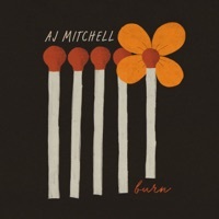 Image of AJ Mitchell linking to their artist page due to link from them being at the top of the main table on this page